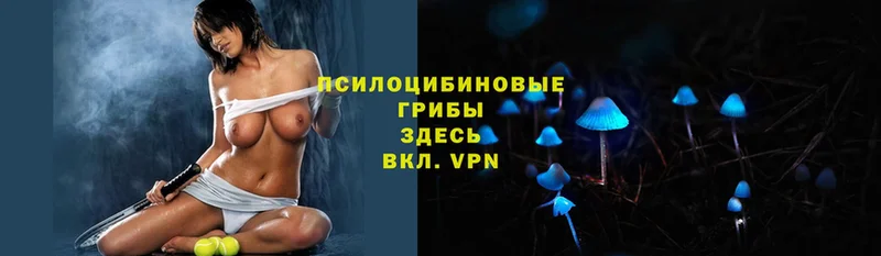 Псилоцибиновые грибы Magic Shrooms  Алексин 